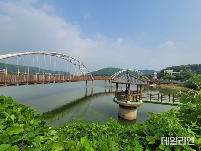 여름의 물왕호수