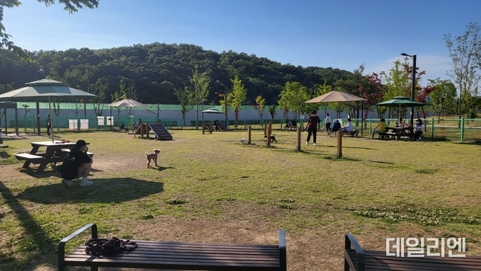 반려가족 놀이터(동탄여울공원)