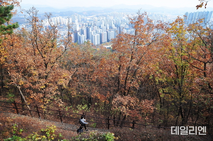 한 시민이 가을색으로 물든 소래산을 오르고 있다. 