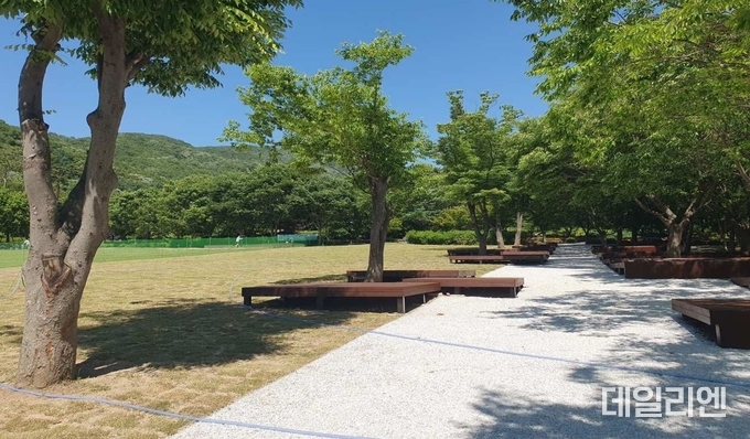용인자연휴양림 잔디광장 정비 완료한 모습