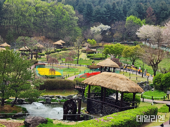 용인특례시 농촌테마파크 여름철 전경