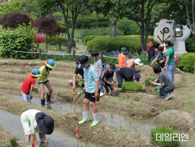 농촌테마파크에서 어린이들이 모내기 체험을 하고 있다