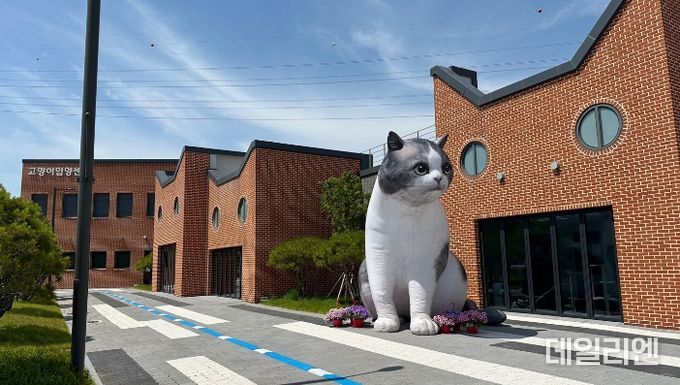 고양이 입양센터