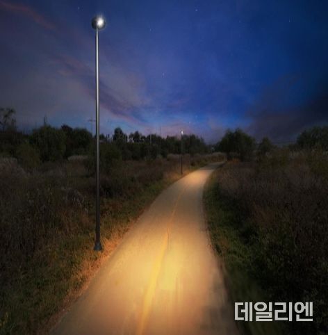 야간 조명이 켜진 자전거 도로