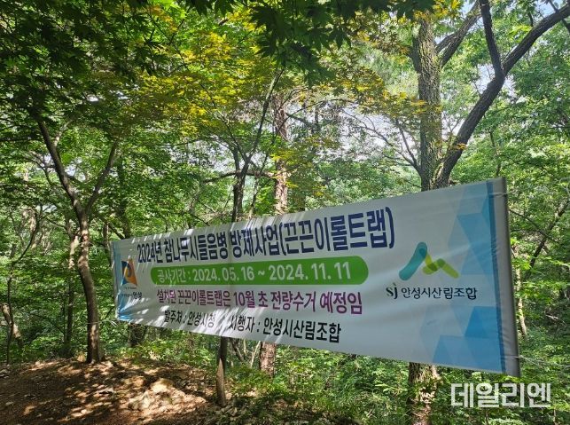 안성시, 산림병해충 방제사업 적극 추진