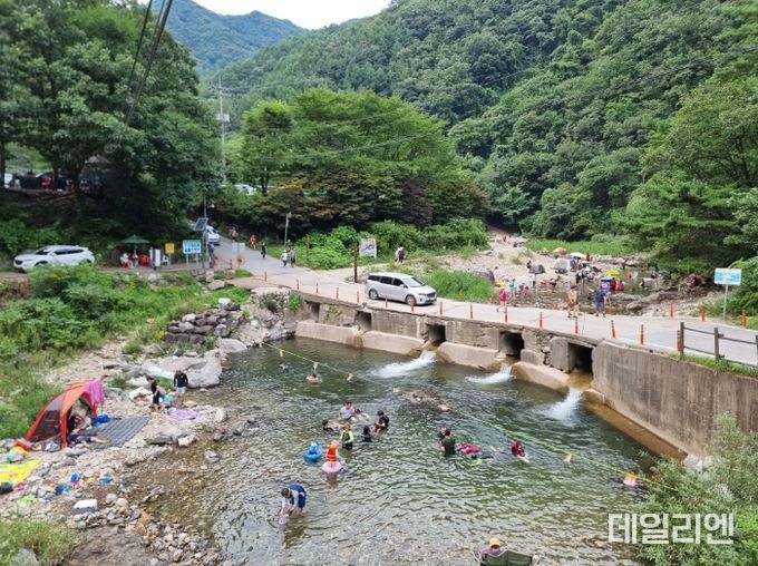 물놀이 사진