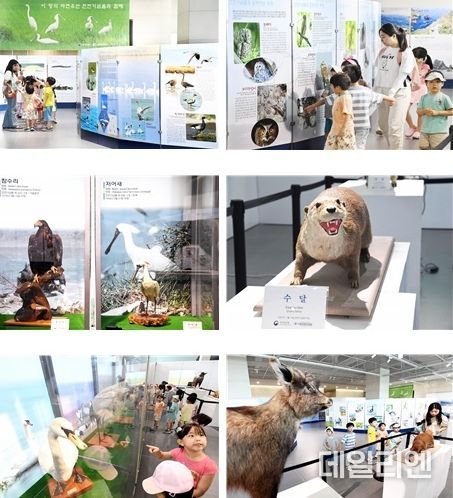 천연기념물 특별전