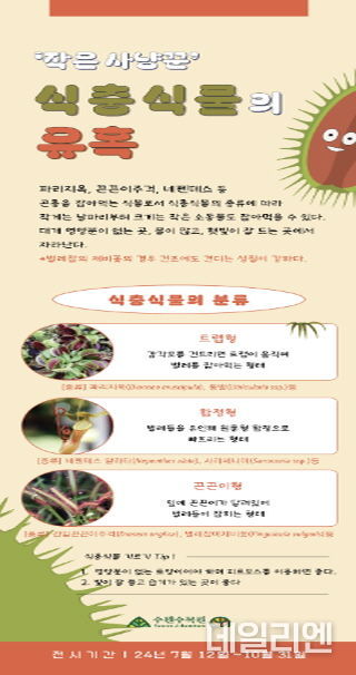 홍보물
