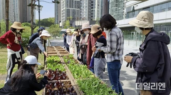 도심 내 텃밭에서 시민들이 텃밭활동을 하고 있다.