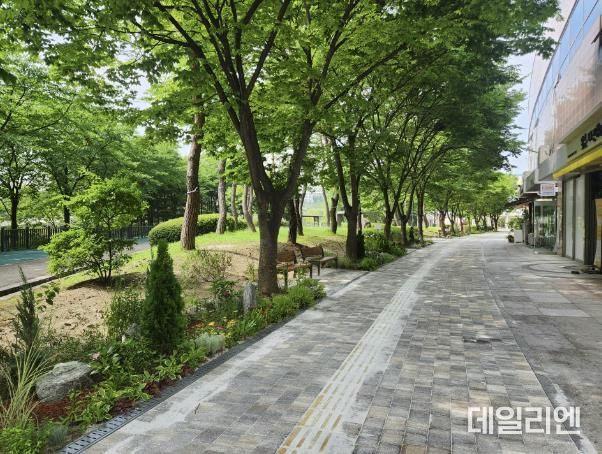 용인특례시는 동백호수공원 중앙광장~공원남쪽출입구 150m 구간 바닥재를 전면 교체하고 보행로 주변에 초화류 등을 심어 거리정원을 조성했다.