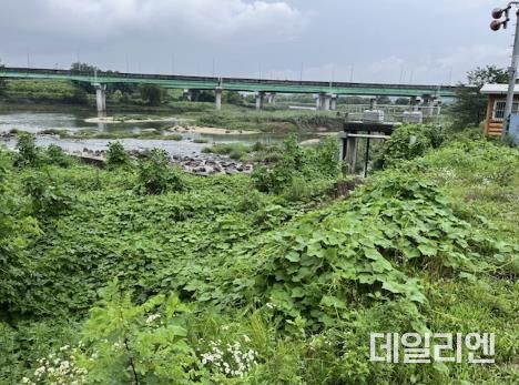 화성시, 생태계교란생물 퇴치사업 및 종합 모니터링 사업 본격 추진