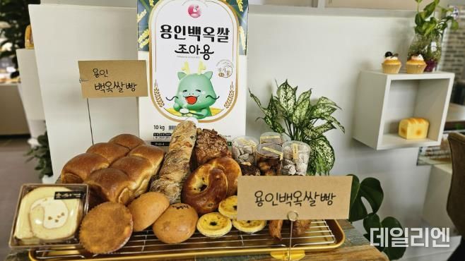 용인특례시 '백옥쌀가루'로 만든 빵