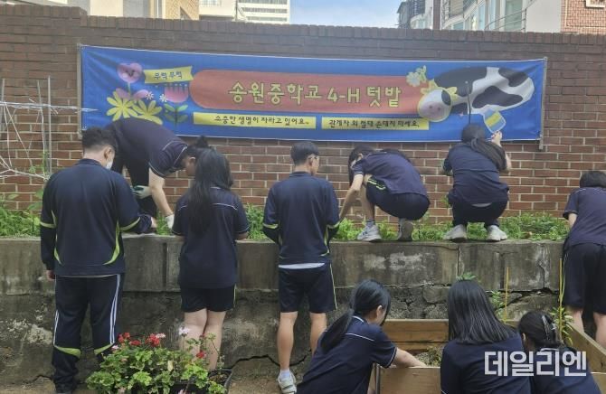 학생들이 4-H 텃밭 가꾸기 과제활동을 하고 있다