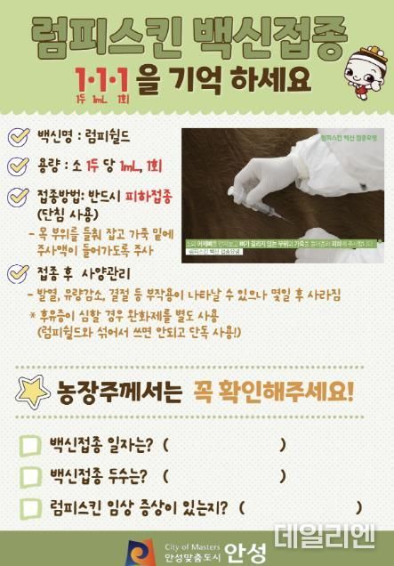 안성시, 정확한 럼피스킨 백신접종 요령 일제 배포