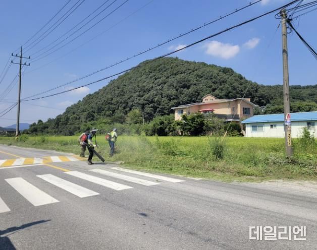 용인특례시는 추석 명절을 앞두고 시민과 귀성객에게 안전하고 쾌적한 환경을 제공하기 위해 시 곳곳 도로 제초작업에 나섰다.