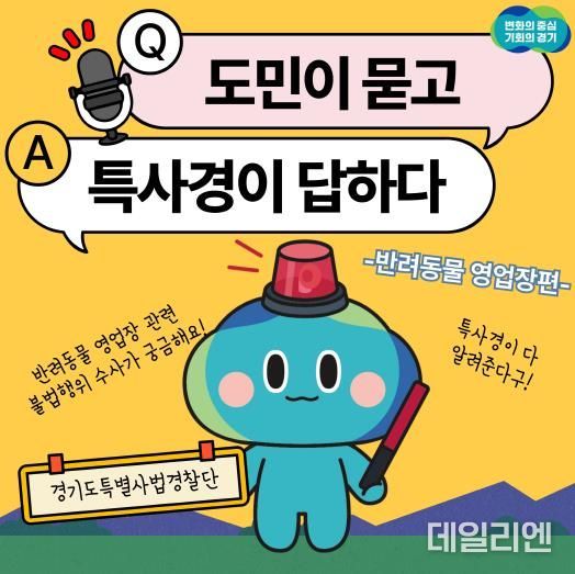 카드뉴스