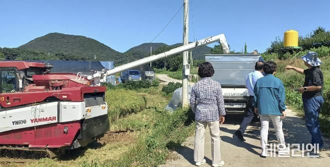 수확의 계절, 2024년 안성시 양성면 첫 벼 베기 행사