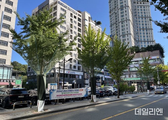 화성시, 가을철‘은행 열매 수거 장치’시범 설치로 악취제거 총력