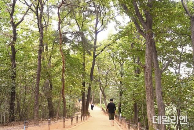 광교호수공원 내에 조성된 황톳길을 시민들이 걷고 있는 모습.