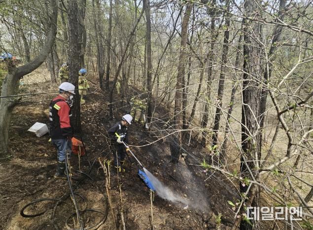 산불전문예방진화대가 산불 진화를 하고 있다.