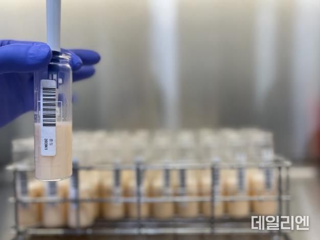 원유 인플루엔자 검사사진