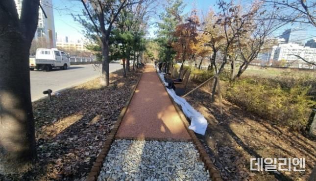 안양천 제방 녹지대에 조정된 황토볼길